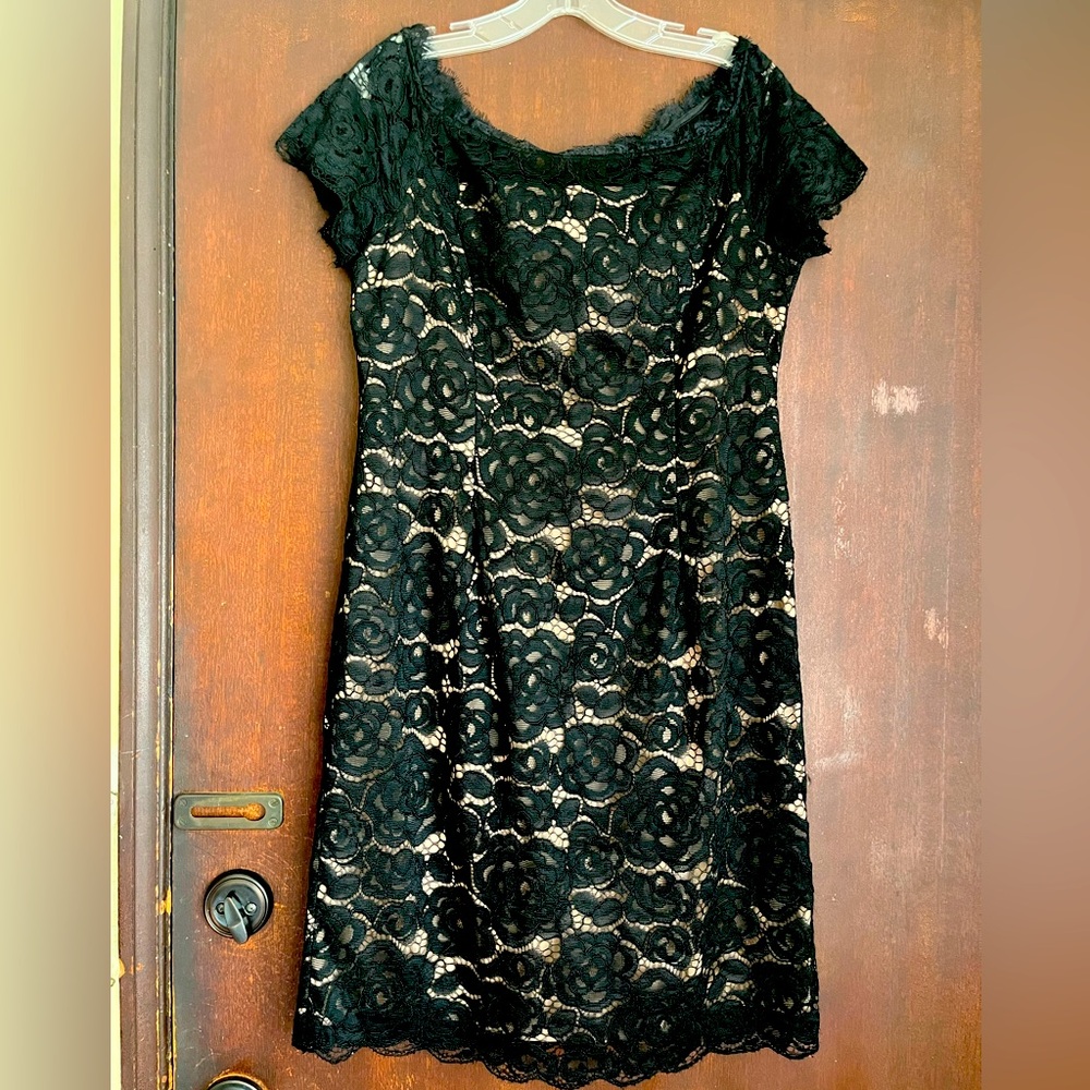 Stunning lace Adrianna Pappel dress size 12